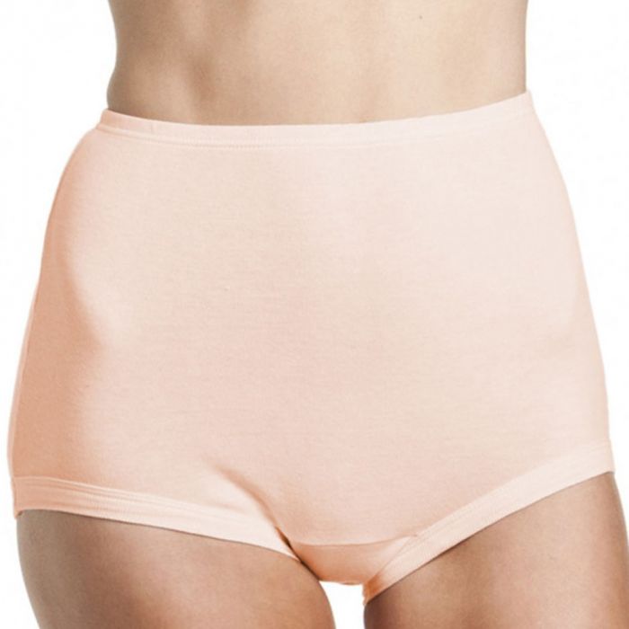 WOMENS BONDS FULL Brief Satin Touch Cottontails High Waist Knickers 6 Pack  W012 $89.95 - PicClick AU