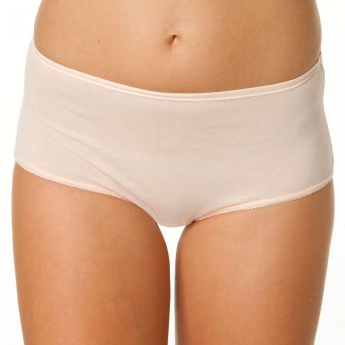 Womens Bonds Full Brief Satin Touch Cottontails High Waist Knickers 6 Pack  W012 